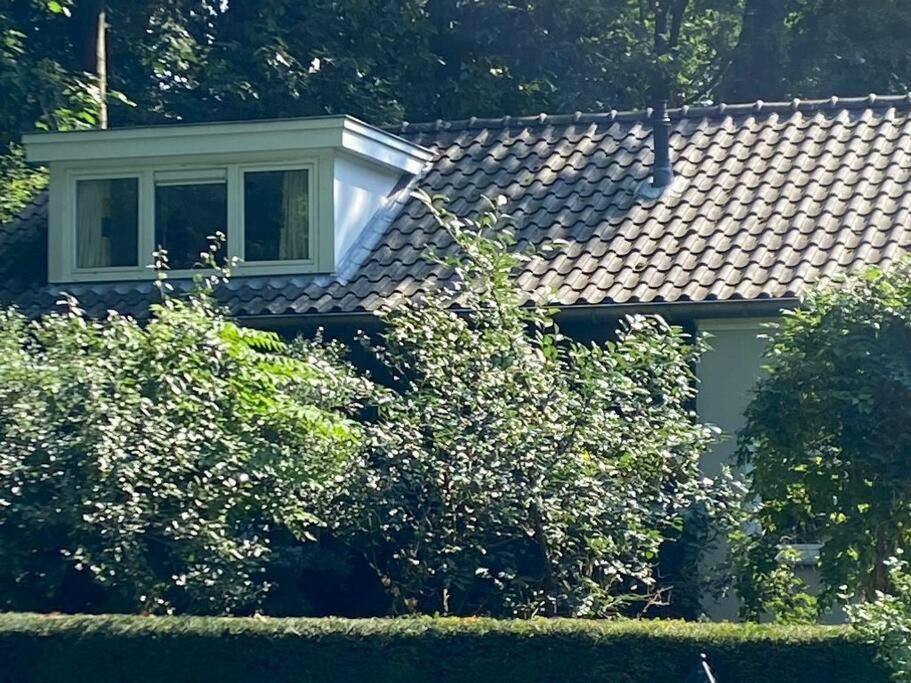 Duinhoek: Luxe Studio, Prachtig En Rustig Gelegen ไซสท์ ภายนอก รูปภาพ