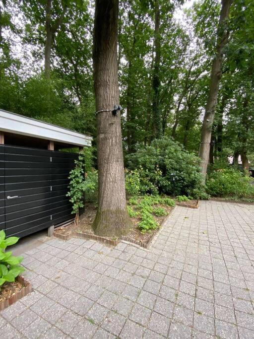 Duinhoek: Luxe Studio, Prachtig En Rustig Gelegen ไซสท์ ภายนอก รูปภาพ